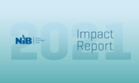Cover image for NIB Impact Report 2021