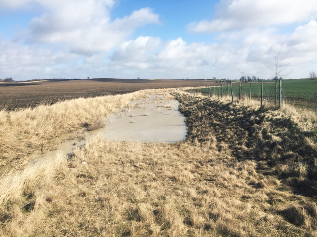 Wetland project in Tullstorp