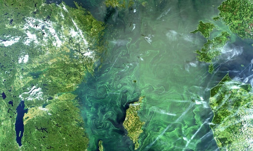 HELCOM report: A dynamic snapshot of the Baltic marine environment ...