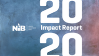 Cover image for NIB Impact Report 2020