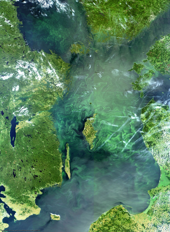 baltic-sea-eutrophication-photo-esa-earth-observation-data